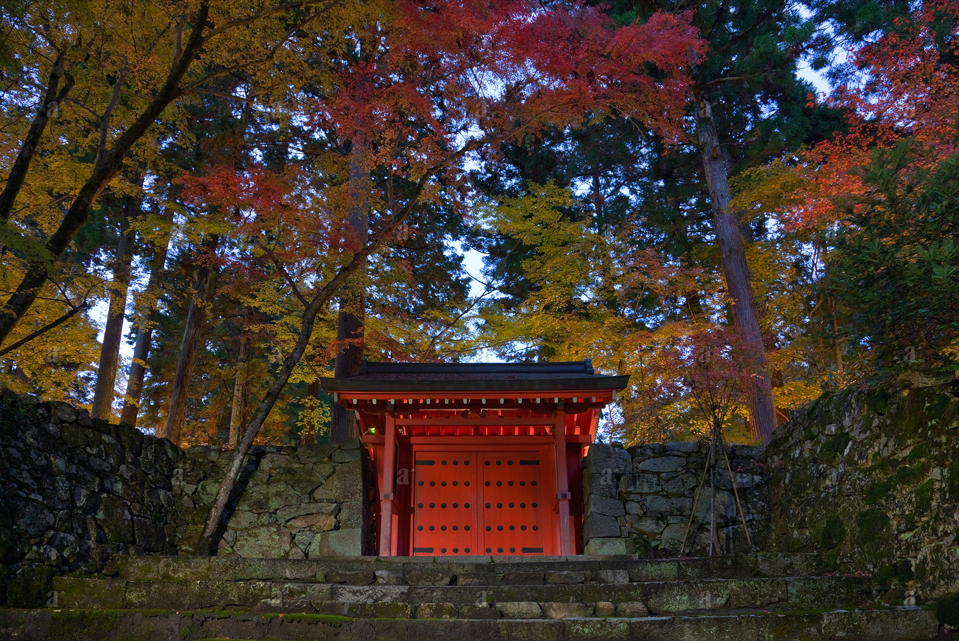 ベン・シモンズ &ldquo;三千院　大原&rdquo; Ben Simmons &ldquo;Sanzen-in, Ohara&rdquo;